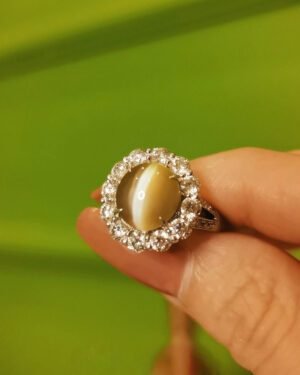 Honey Gold Chrysoberyl Cat's Eye Ring Rare Gemstone