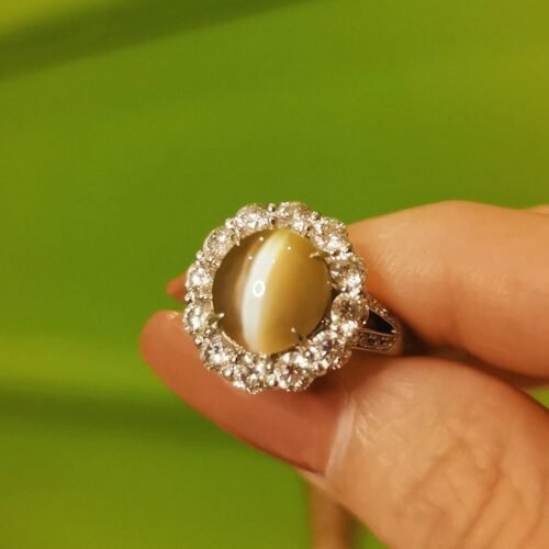 Honey Gold Chrysoberyl Cat's Eye Ring Rare Gemstone