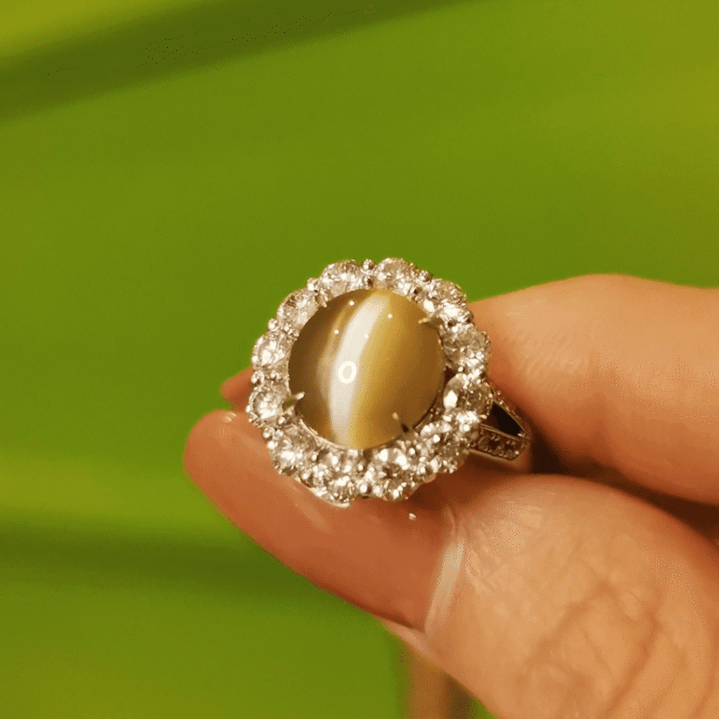 Honey Gold Chrysoberyl Cat’s Eye Ring – Rare Gem of Light and Spirit